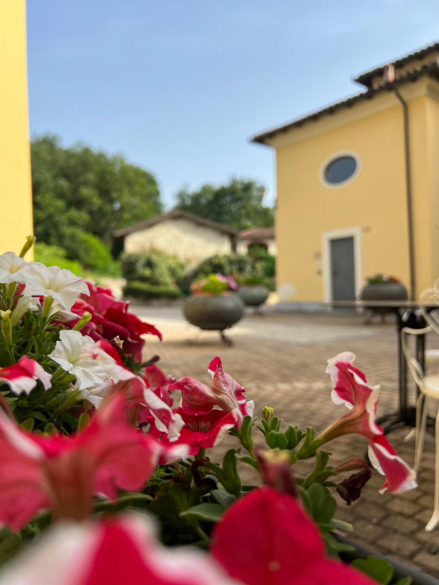 Penzion Casale Milleseicento Gavi Exteriér fotografie